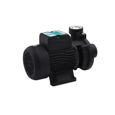 Насос поверхневий поливальний Pumpman 2DK20 Нmax 17 м Qmax 27 куб.м 2"х2" 1500 Вт