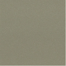 Панель акрилова  Acrylic 18 мм. Фантазія (з білою тильною стороною) 7591 - Металік бежевий (мат)